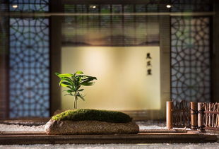 揚(yáng)州精品茶葉店裝修與茶樓設(shè)計(jì)裝潢——盡在揚(yáng)州宏鉅茶館服務(wù)